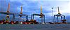 Image 1: DP World Automatic Stacking Cranes, Antwerp Gateway